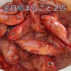 高級魚 金目鯛 まるごと2匹 冷蔵