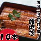 産うなぎの蒲焼き 大 10本