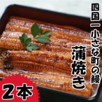 うなぎの蒲焼き 小 2本