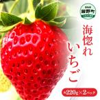 海惚れいちご 約220g×2パック