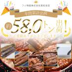 ふるさと納税 香南市 うなぎの蒲焼き 約200g×2尾 国産養殖 高知県産鰻 鰻蒲焼 fb-0139