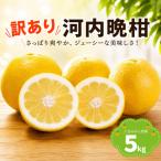 八百みかん農園の訳あり 河内晩柑 5kg