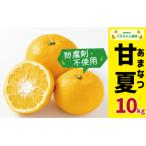 訳あり 甘夏 10kg
