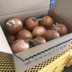淡路島玉ねぎ サイズ混 5kg