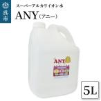スーパーアルカリイオン水 ANY アニー