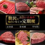 牛肉 ステーキ 毎月お届け おおいた和牛を贅沢に味わい尽く…