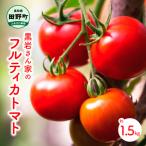 黒岩さん家のフルティカトマト 約1.5kg