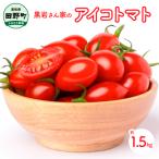 黒岩さん家のアイコトマト 約1.5kg