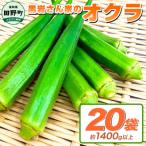 黒岩さん家のオクラ 20袋