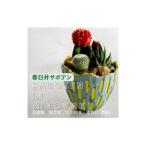 多治見市× 陶芸家 北川和喜 重色目深鉢S×