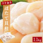 ふるさと納税 石巻市 【先行受付】【訳あり】ほたて貝柱1.1kg (加熱用) 帆立 貝柱 海鮮 おつまみ 魚介 ホタテ