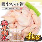 宗像産ブランド鶏 ムネ肉4kg 平飼い _HA1419