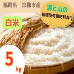 循環型有機肥料で育った白米 ゆめつくし