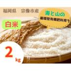 循環型有機肥料で育った白米 ゆめつくし