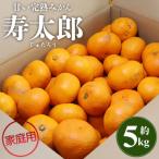 山北みかん 約5kg
