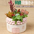多肉植物の寄せ植えセット メゾンラウンドポット