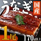うなぎ蒲焼 1尾