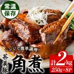 常温でお届け♪鹿児島の黒豚に次ぐブランド豚