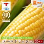 とうもろこし ゴールドラッシュ L~2L 20本