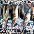 根室 市場 子持ち 数の子入 にしん 8尾