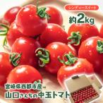2027年発送 山口さんちの中玉トマト 約2kg