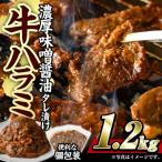 濃厚味噌醤油タレ漬け牛ハラミ肉 合計1.2kg