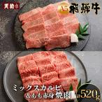A5 飛騨牛ミックスカルビ&amp;もも赤身焼肉 計520g