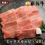 飛騨牛 ミックスカルビ 580g