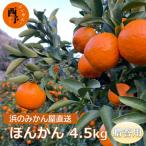 <明浜産 浜のみかん屋直送 ポンカン 4.5kg