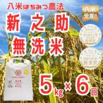 無洗米 6か月定期便 新之助 令和8年産 新米予約