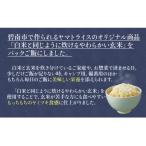 ふるさと納税 津島市 【6回分定期便】やわらかい玄米パックごはん(150g×24個入り×6回配送)