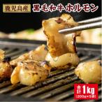 鹿児島産黒毛和牛ホルモン 合計1kg