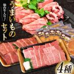 ふるさと納税 気仙沼市 うまいものセット 仙台牛カルビ 豚ロース味噌漬け 厚切り牛タン 20564057 ◎