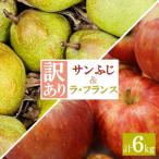 ショッピングふるさと納税 訳あり ふるさと納税 長井市 【2026年発送】ご家庭用訳ありラフランス・サンふじりんごセット約6kg(各3kg×1箱)_H197