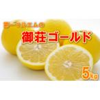 御荘ゴールド 河内晩柑 秀品 5kg