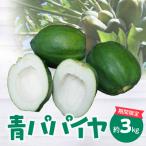 青パパイヤ 約3kg