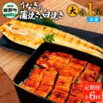 うなぎの蒲焼き 小 1尾×6回