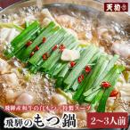 ふるさと納税 下呂市 飛騨のもつ鍋 2〜3人前(もつ 300g ラーメン2食 特製スープ700g)【11-89】