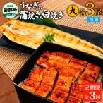 うなぎの蒲焼き 小 3尾×3回