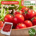 高糖度&高機能性 フルーツトマト3kg
