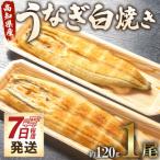 白焼うなぎ 白焼き 120g