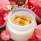 土佐の贅沢プリン 5個入