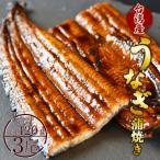 うなぎ蒲焼き 約140g×3尾