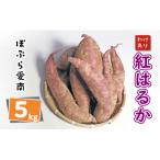 訳あり 紅はるか 5kg