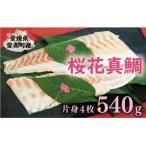 炙り 真鯛 切り身 4柵 合計 540g