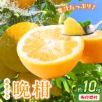 S149-002_あまくさ晩柑 約10kg