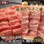 飛騨牛&納豆喰豚 焼肉用 牛もも 170g