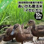 令和7年産 イセヒカリ 10kg