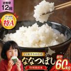 12回 定期便 JA新すながわ産 特栽米ななつぼし 5kg×12回