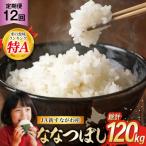 12回 定期便 JA新すながわ産 ななつぼし 10kg×12回